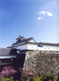 高知城が春の訪れをお知らせします