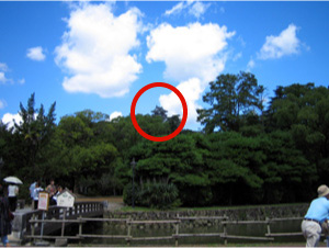 緑の噴水の上に高知城